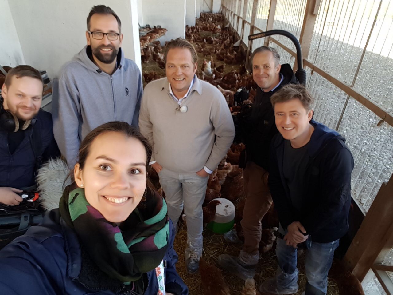 haehnlein BioEier Aufzucht von Henne und Hahn