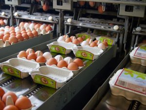 haehnlein Bio-Eier Warenversorgung