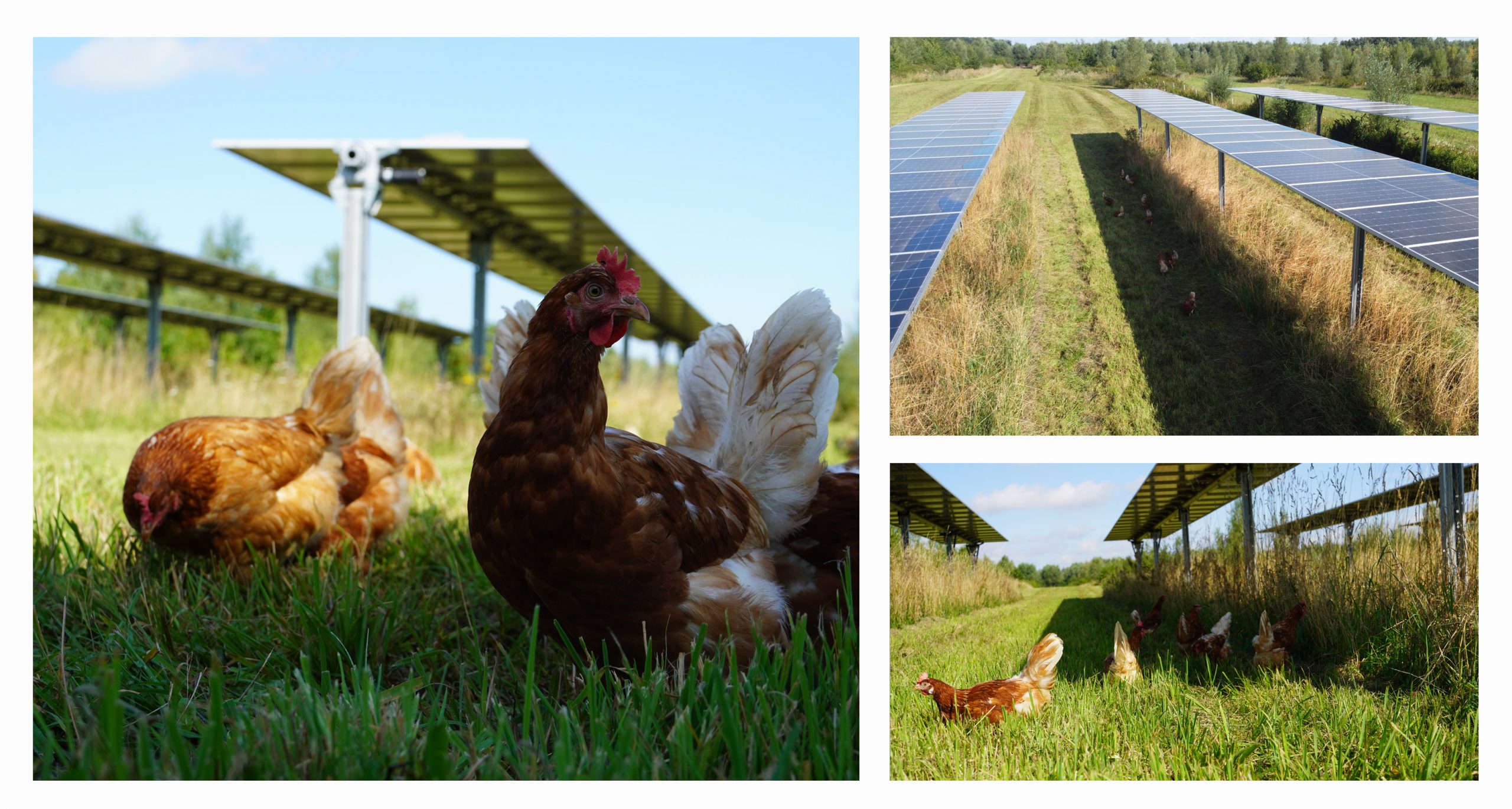 haehnlein im Deutsche Bahn Bordbistro | Copyright: Deutsche Bahn AG / Wolfgang Klee