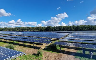 Nachhaltig(er)er Strom aus dem Hühnerauslauf